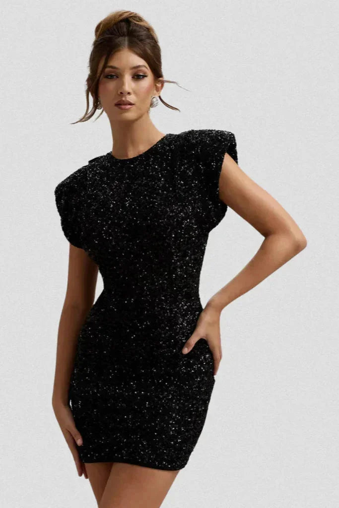 Women's Sequin Little Christmas Party Dress - Black
